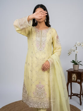 soft lemon yellow organza suit